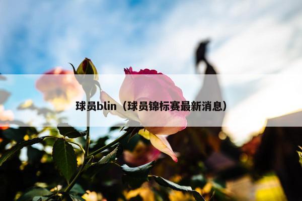 球员blin（球员锦标赛最新消息）