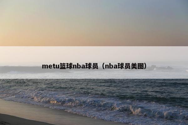 metu篮球nba球员（nba球员美图）