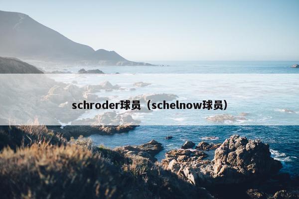 schroder球员（schelnow球员）