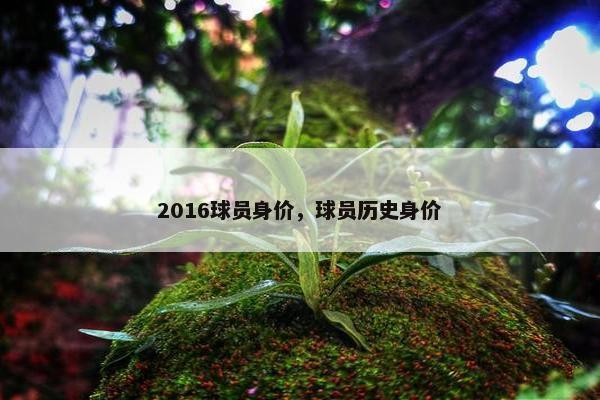 2016球员身价，球员历史身价