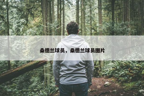 桑德兰球员，桑德兰球员图片