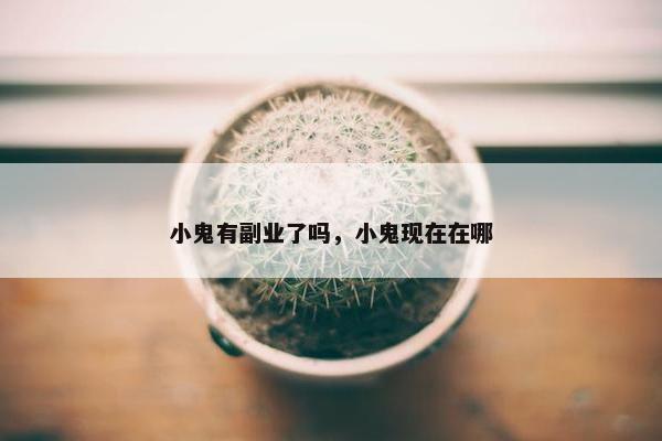 小鬼有副业了吗，小鬼现在在哪