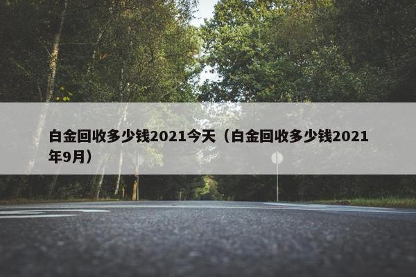 白金回收多少钱2021今天（白金回收多少钱2021年9月）