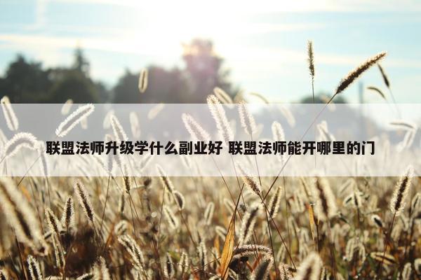 联盟法师升级学什么副业好 联盟法师能开哪里的门