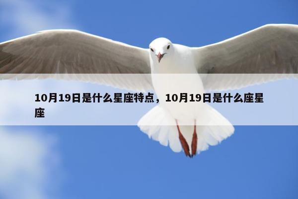 10月19日是什么星座特点，10月19日是什么座星座