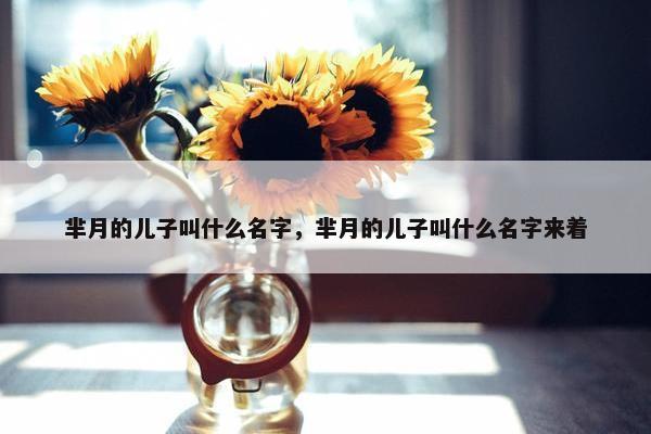 芈月的儿子叫什么名字，芈月的儿子叫什么名字来着