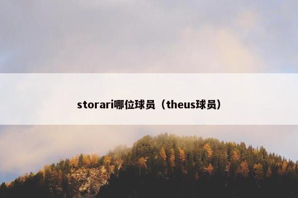 storari哪位球员（theus球员）