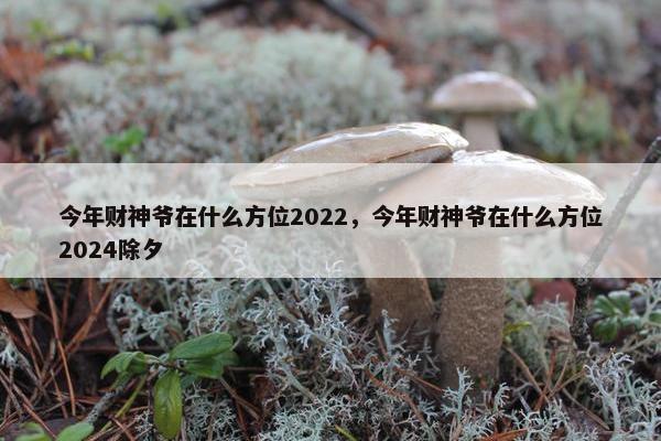 今年财神爷在什么方位2022，今年财神爷在什么方位2024除夕