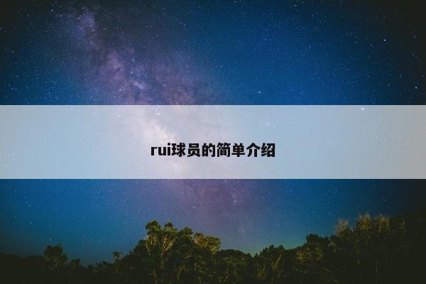 rui球员的简单介绍