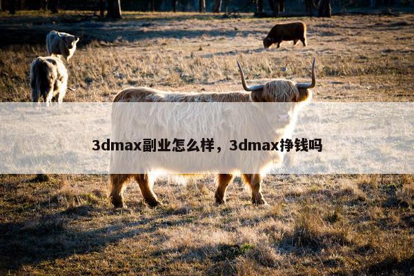 3dmax副业怎么样，3dmax挣钱吗