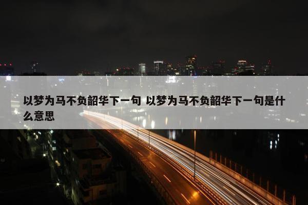 以梦为马不负韶华下一句 以梦为马不负韶华下一句是什么意思