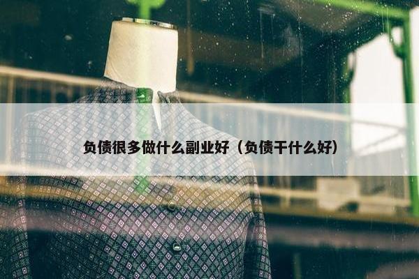 负债很多做什么副业好（负债干什么好）