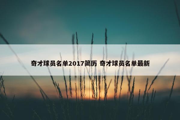 奇才球员名单2017简历 奇才球员名单最新