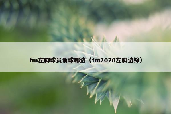 fm左脚球员角球哪边（fm2020左脚边锋）