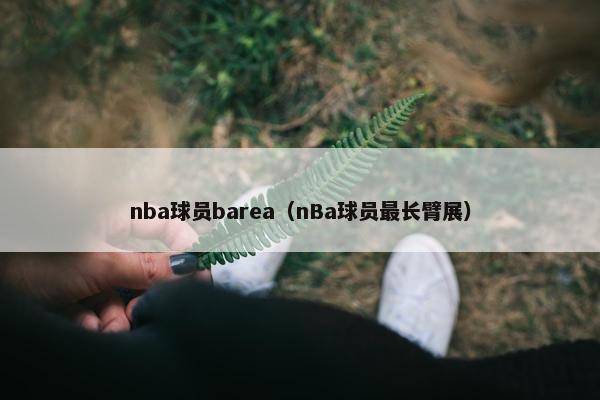 nba球员barea（nBa球员最长臂展）