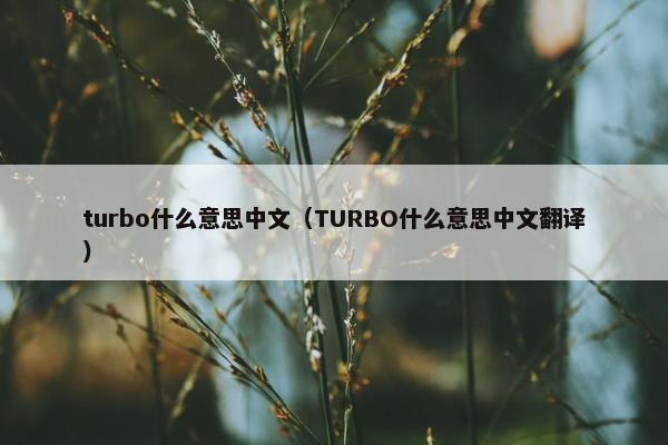 turbo什么意思中文（TURBO什么意思中文翻译）