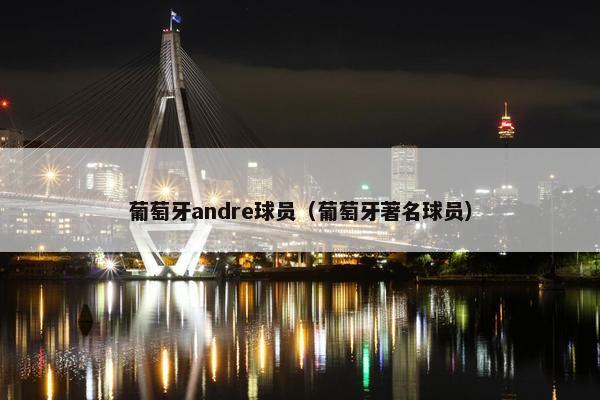 葡萄牙andre球员（葡萄牙著名球员）