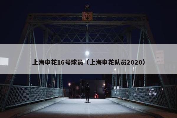 上海申花16号球员（上海申花队员2020）