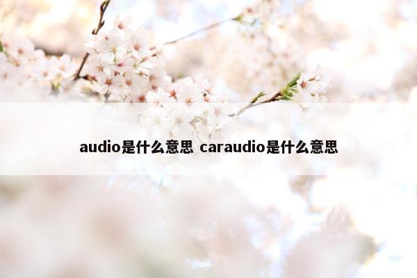 audio是什么意思 caraudio是什么意思