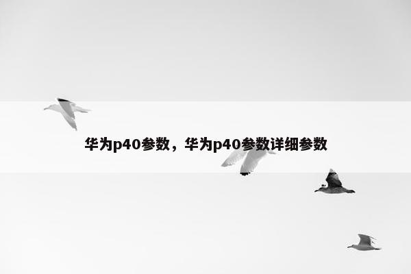 华为p40参数，华为p40参数详细参数