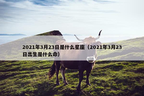 2021年3月23日是什么星座（2021年3月23日出生是什么命）