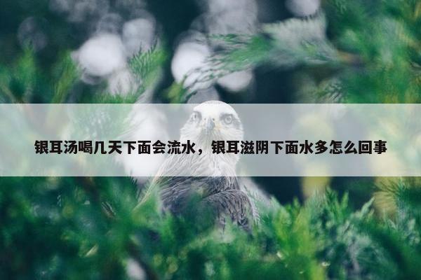 银耳汤喝几天下面会流水，银耳滋阴下面水多怎么回事