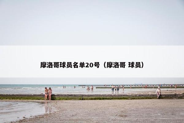 摩洛哥球员名单20号（摩洛哥 球员）