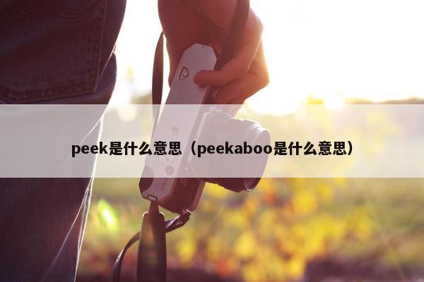 peek是什么意思（peekaboo是什么意思）