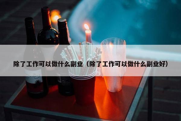 除了工作可以做什么副业（除了工作可以做什么副业好）