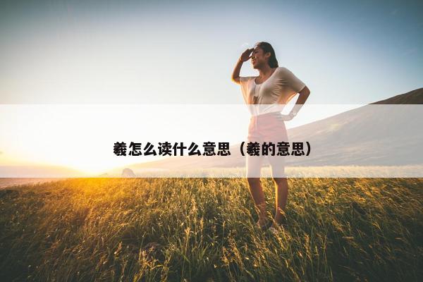 羲怎么读什么意思（羲的意思）