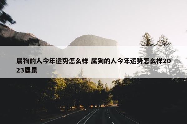 属狗的人今年运势怎么样 属狗的人今年运势怎么样2023属鼠