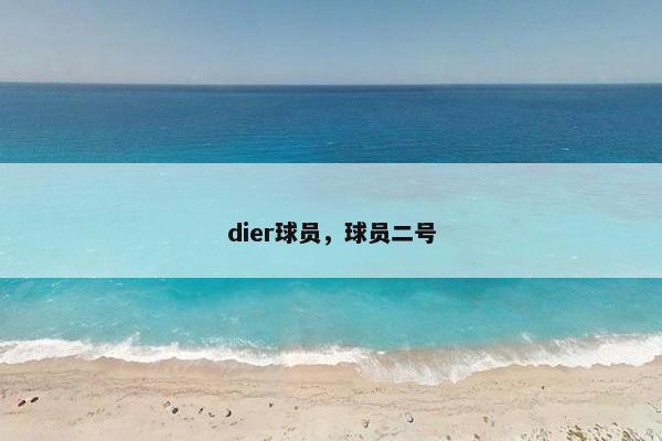 dier球员，球员二号