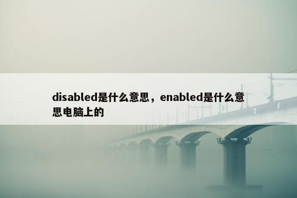 disabled是什么意思，enabled是什么意思电脑上的
