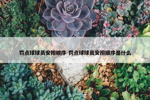 罚点球球员安排顺序 罚点球球员安排顺序是什么