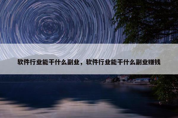 软件行业能干什么副业，软件行业能干什么副业赚钱