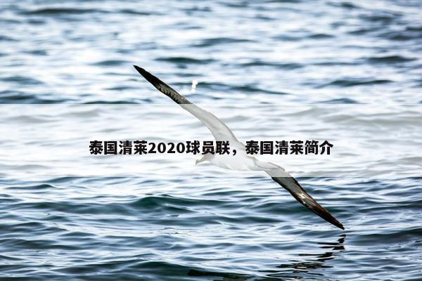 泰国清莱2020球员联，泰国清莱简介