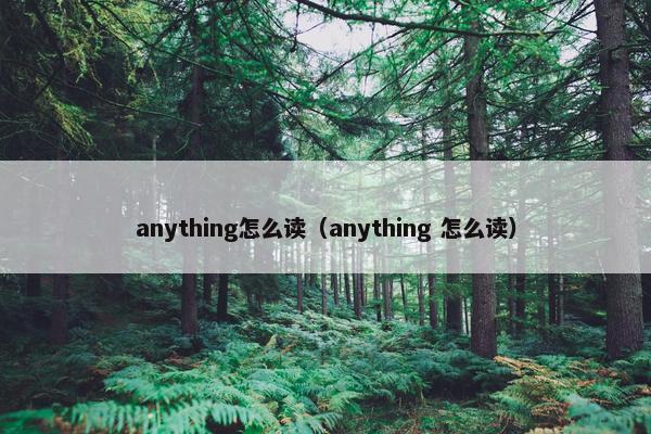 anything怎么读（anything 怎么读）