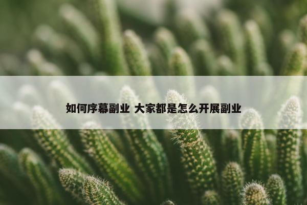 如何序幕副业 大家都是怎么开展副业