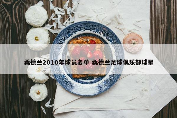 桑德兰2010年球员名单 桑德兰足球俱乐部球星