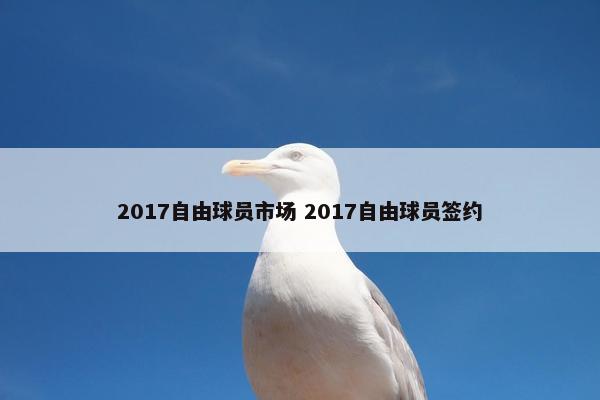 2017自由球员市场 2017自由球员签约