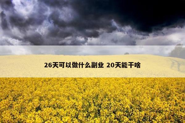 26天可以做什么副业 20天能干啥