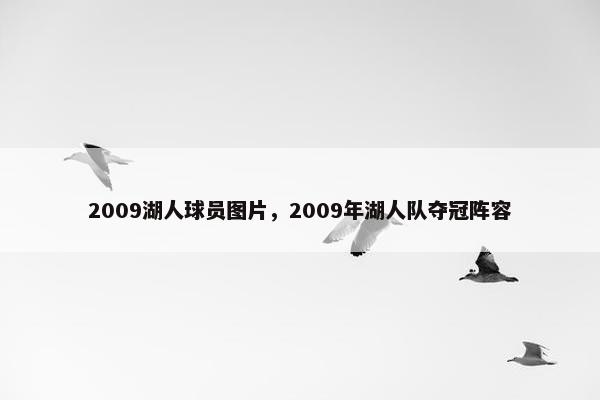 2009湖人球员图片，2009年湖人队夺冠阵容