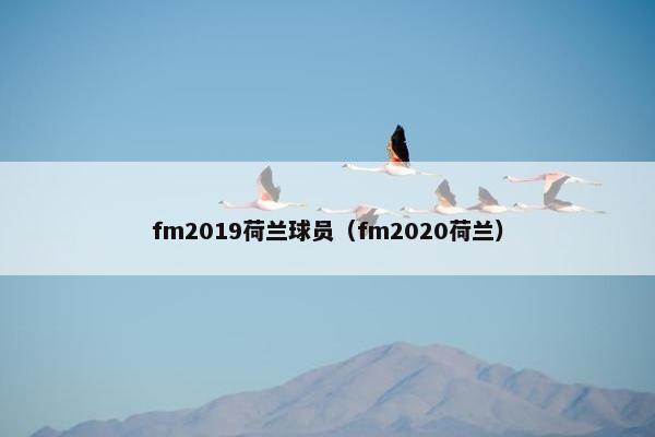 fm2019荷兰球员（fm2020荷兰）