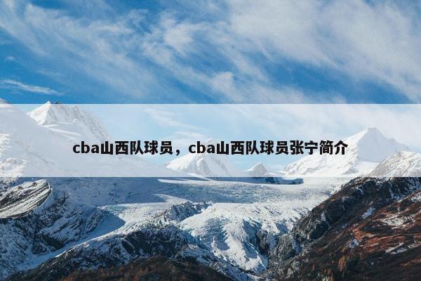 cba山西队球员，cba山西队球员张宁简介