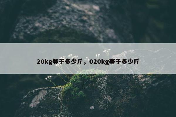 20kg等于多少斤，020kg等于多少斤