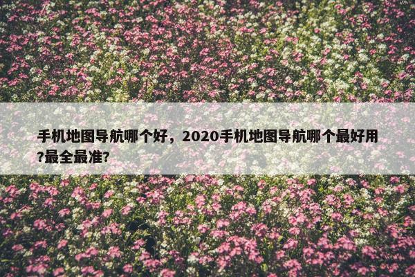 手机地图导航哪个好，2020手机地图导航哪个最好用?最全最准?