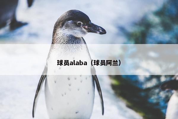 球员alaba（球员阿兰）