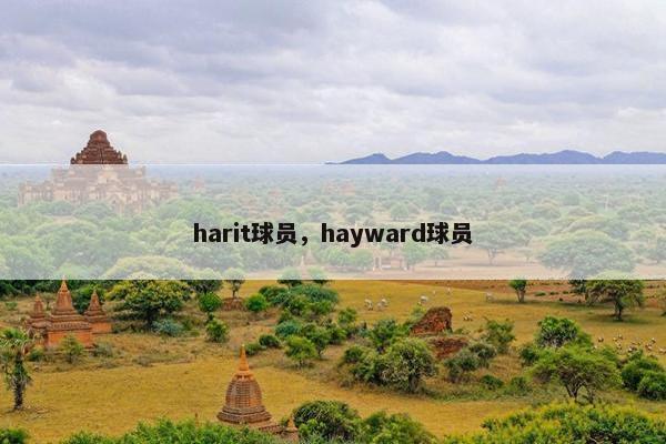 harit球员，hayward球员