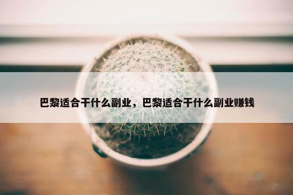 巴黎适合干什么副业，巴黎适合干什么副业赚钱