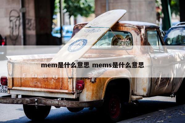 mem是什么意思 mems是什么意思